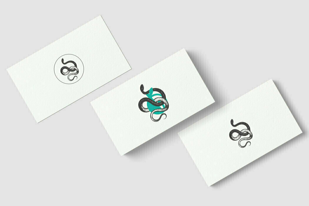 蛇編 - Business Card Design 2020